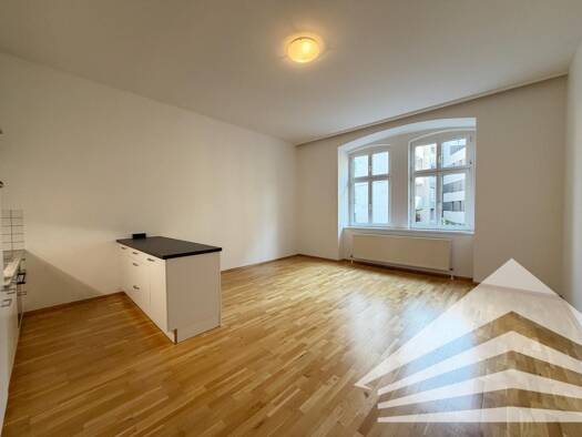 Wohnung zur Miete 597 € 2 Zimmer 57 m² 1. Geschoss Auerspergstraße 18 Linz Linz 4020