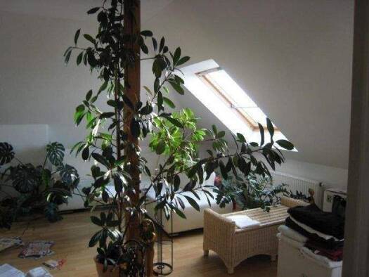 Maisonette zum Kauf 99.000 € 2 Zimmer 41 m² 4. Geschoss Pieschen-Nord/Trachenberge Ortsamtsbereich Pieschen 01129
