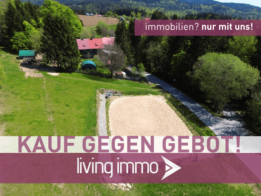 Einfamilienhaus zum Kauf 395.000 € 8 Zimmer 232,9 m² 7.128 m² Grundstück Branntweinhäuser Neureichenau 94089