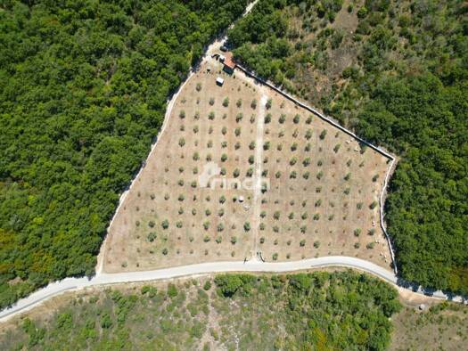 Acker-/Waldstück zum Kauf 420.000 € Vodnjan 52215