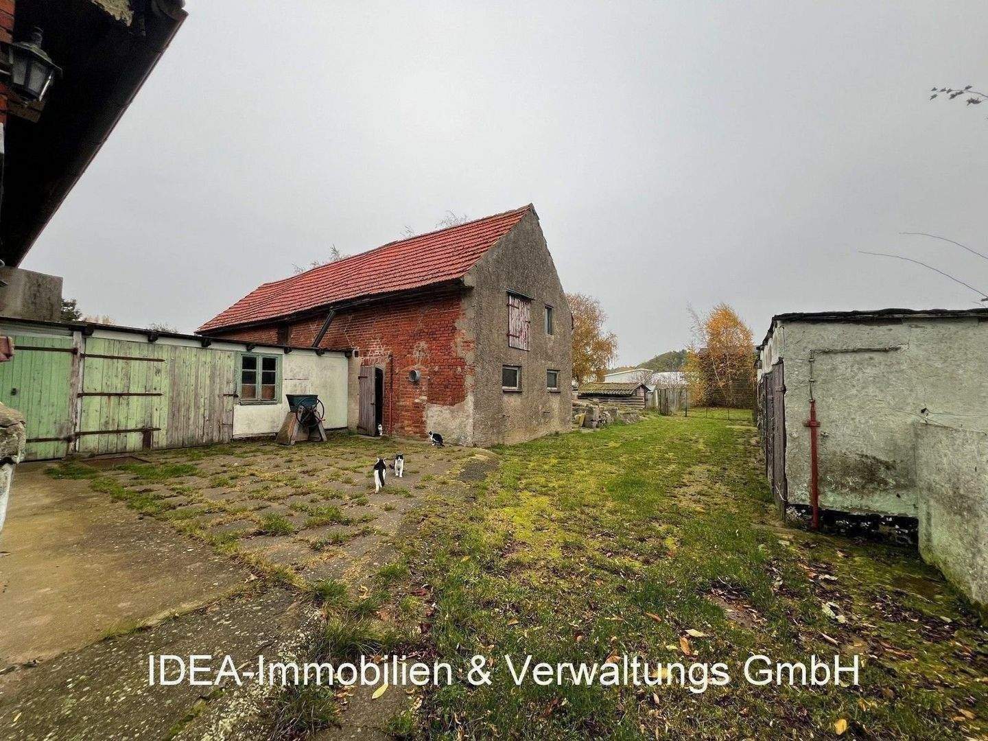 House in Gremersdorf-Buchholz, Vorpommern-Rügen - Ansicht 4