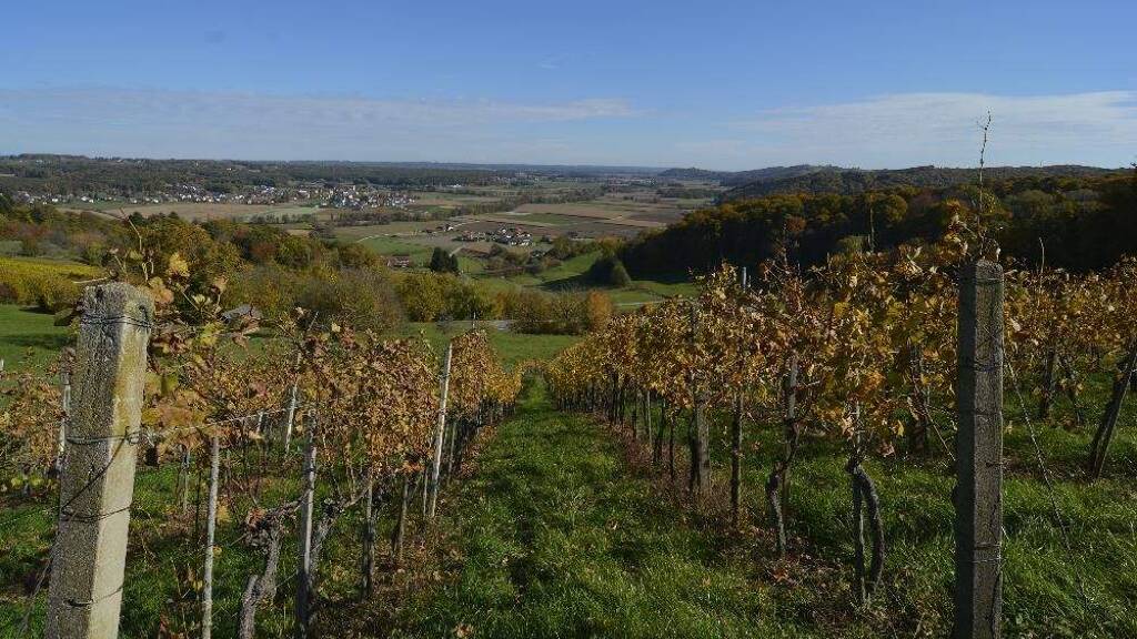 Land-/Forstwirtschaft zum Kauf 330.000 € Fürstenfeld, Südoststeiermark, Vulkanland, Thermen 8280