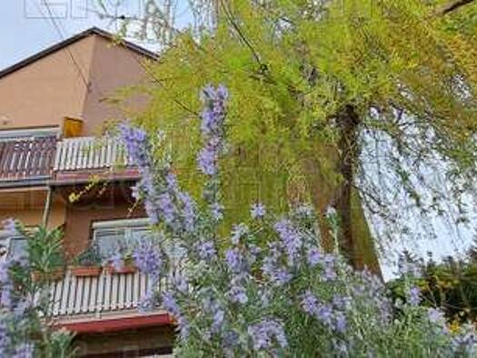 Einfamilienhaus zum Kauf 230.900 € 5 Zimmer 160 m² 378 m² Grundstück Balatonszárszó