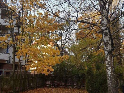 Wohnung zur Miete 990 € 3 Zimmer 83 m² frei ab sofort Reudnitz-Thonberg Leipzig 04317