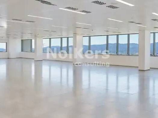 Ladenfläche zur Miete 13.845 € 923 m² Verkaufsfläche Sant Cugat del Vallès 08174