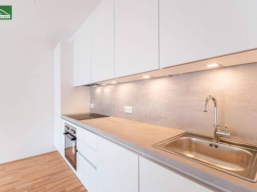 Wohnung zum Kauf - Erstbezug provisionsfrei 519.300 € 3 Zimmer 64,9 m² 2. Geschoss Ameisgasse 28 Wien 1140