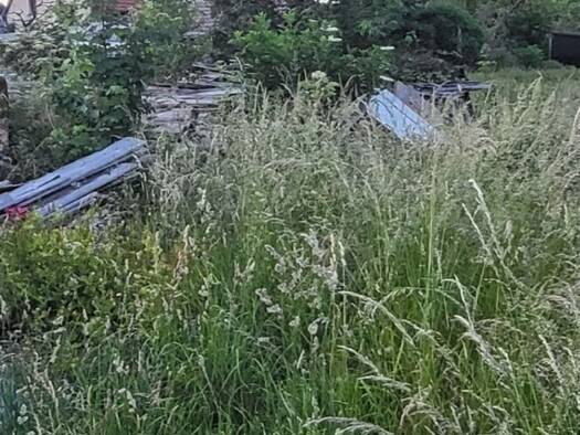 Grundstück zum Kauf 165.000 € 3.236 m² Grundstück Georgenthal Georgenthal /Thür. Wald 99887