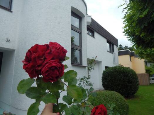 Doppelhaushälfte zur Miete 3.226 € 5 Zimmer 218 m² 600 m² Grundstück frei ab 01.11.2026 Bleidenstadt Taunusstein 65232