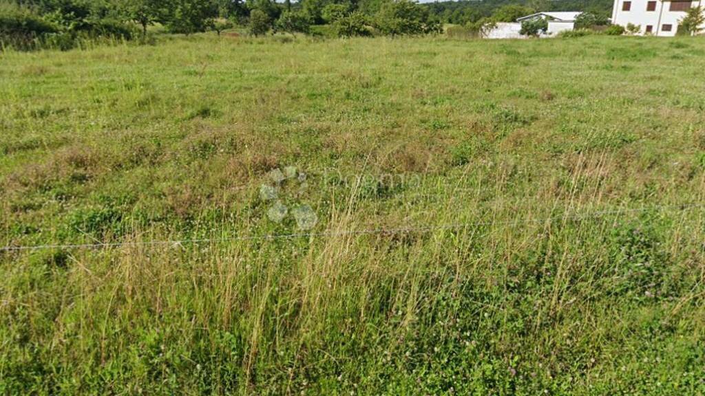 Land-/Forstwirtschaft zum Kauf 120.000 € Barban