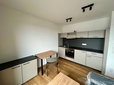 Terrassenwohnung zur Miete 599 € 1 Zimmer 32 m² 2. Geschoss Am historischen Lokschuppen 12 Stadtpark / Stadtgrenze 20 Fürth 90762