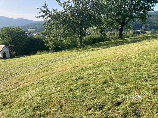 Grundstück zum Kauf 275.000 € 2.500 m² Grundstück Kieflitz Hunding 94551