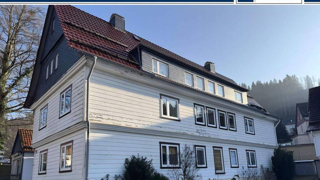 Mehrfamilienhaus zum Kauf 239.000 € 22 Zimmer 460 m² 827 m² Grundstück Bad Grund 37539