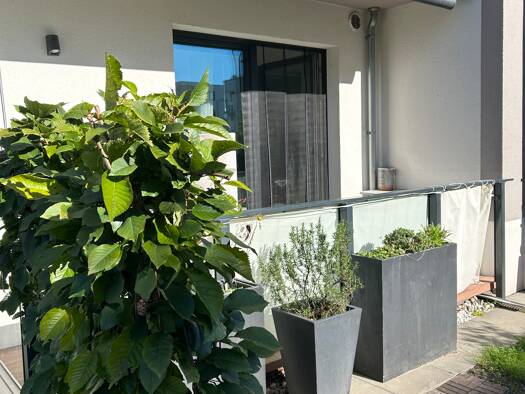 Terrassenwohnung zur Miete 1.100 € 2,5 Zimmer 56 m² Geschoss EG/4 frei ab sofort Am Wendebecken 4 a Seebad Warnemünde Rostock 18119