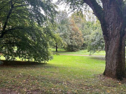 Mehrfamilienhaus zum Kauf 1.850.000 € 14 Zimmer 320 m² 2.300 m² Grundstück Frankfurt am Main 65936