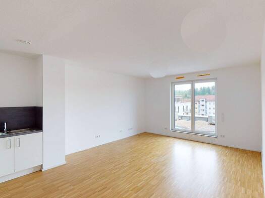 Penthouse zur Miete 780 € 2 Zimmer 66,3 m² 4. Geschoss frei ab 16.01.2026 Tramplerstraße 87/3 Lahr 77933