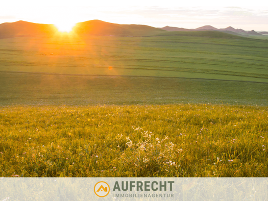 Land-/Forstwirtschaft zum Kauf 32.500 € 4.631 m² Grundstück Volkersdorf Jetzendorf 85305