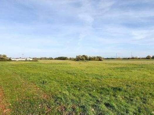 Grundstück zum Kauf provisionsfrei 20.000 m² Grundstück Groß Lüdershagen Wendorf 18442