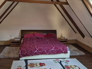 Wohnung zur Miete 600 € 2 Zimmer 65 m² Geschoss 2/2 Schnaittach Schnaittach 91220