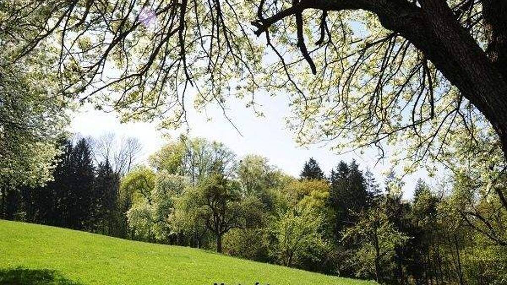 Land-/Forstwirtschaft zum Kauf 21.000 € 6.919 m² Grundstück Inzing 6401