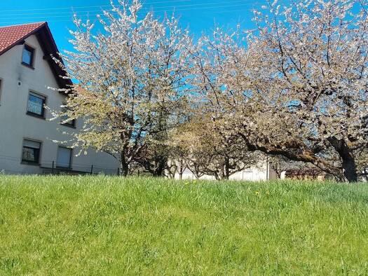 Grundstück zum Kauf 167.000 € 827 m² Grundstück Schömberg Schömberg 72355
