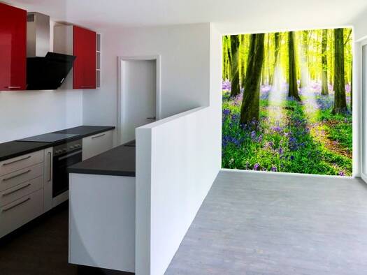 Wohnung zur Miete 340 € 1 Zimmer 20 m² Geschoss 2/4 frei ab 01.02.2026 Nord-Holland Kassel 34127