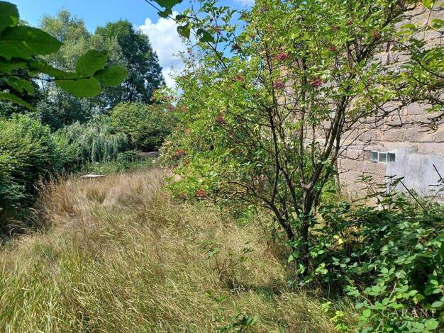 Einfamilienhaus zum Kauf 160.000 € 3 Zimmer 96 m² 370 m² Grundstück Alsenbrück-Langmeil Winnweiler 67722