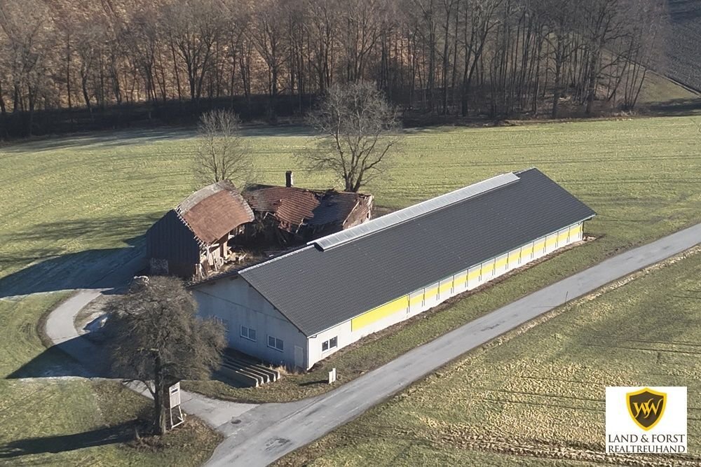 Bauernhaus zum Kauf 1.279.000 € 200 m²<br/>Wohnfläche 40.000 m²<br/>Grundstück Hofkirchen an der Trattnach 4716