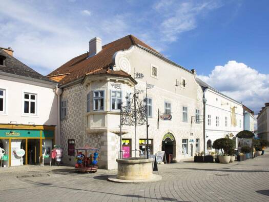 Ladenfläche zur Miete 9,79 € 2 Zimmer Neunkirchen 2620