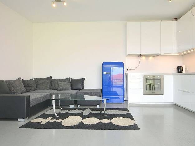 Wohnung zur Miete auf Zeit 1.420 € 2 Zimmer 75 m² frei ab sofort Südstadt Fürth 90763