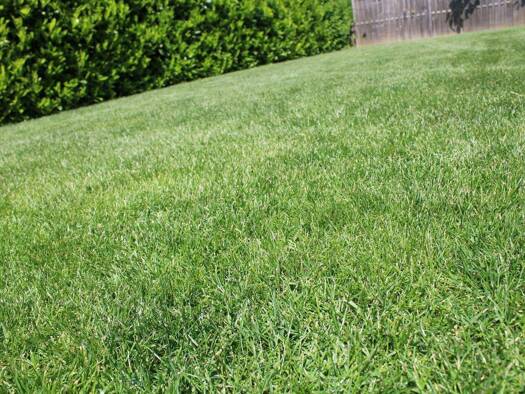 Grundstück zum Kauf 380.000 € 426 m² Grundstück Schwabelweis Regensburg 93055