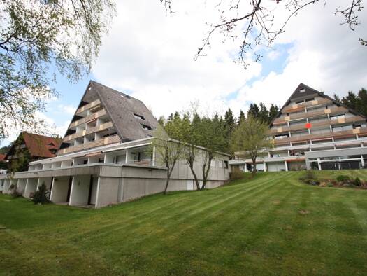 Wohnung zur Miete 460 € 1,5 Zimmer 47,4 m² EG Unterkirnach 78089