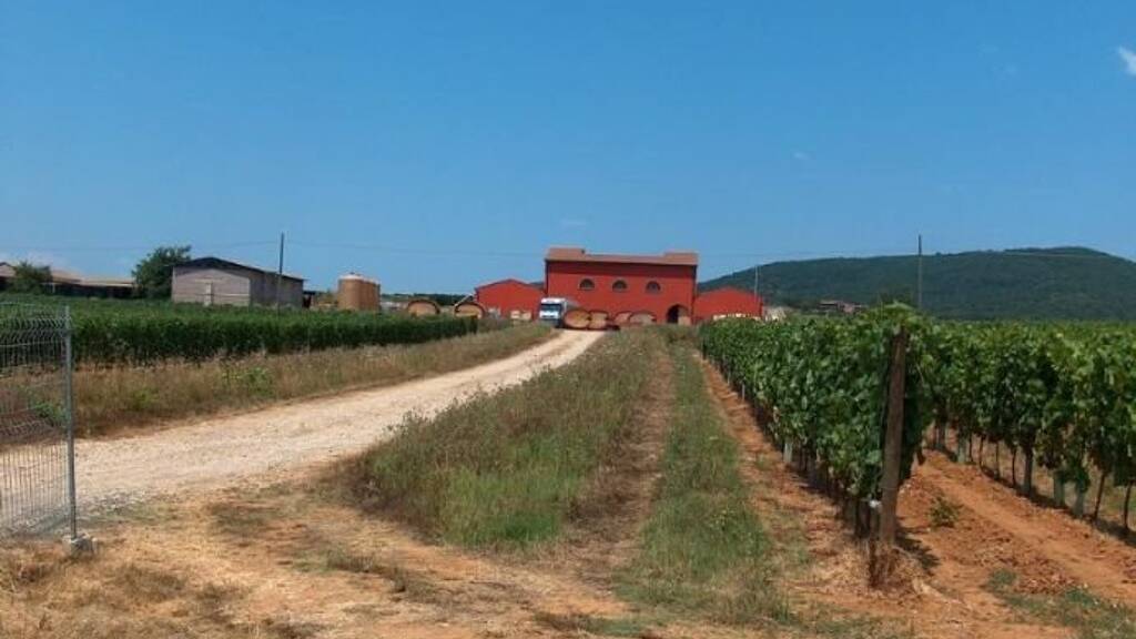 Haus zum Kauf 3.500.000 € Orbetello 58015