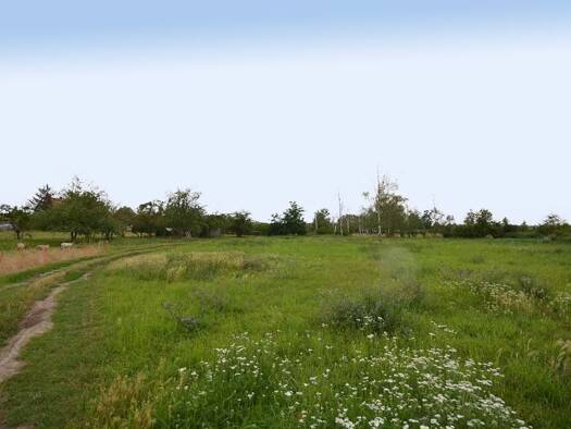 Grundstück zum Kauf 270.000 € 18.000 m² Grundstück frei ab sofort Hausneindorf 06458