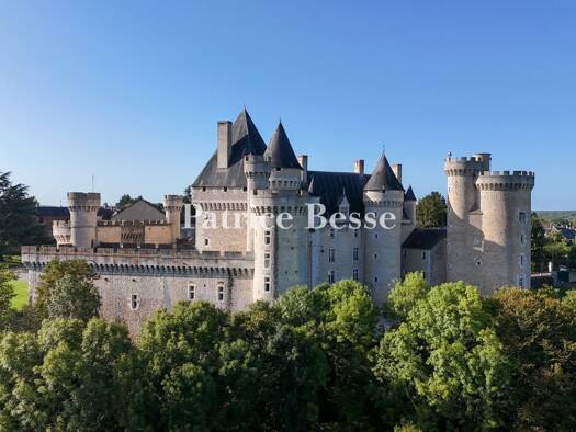 Schloss zum Kauf 3.600.000 € 20 Zimmer 3.700 m² Centre Ville-Les Marins Châteauroux 36000