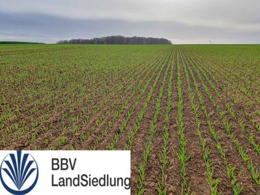 Land-/Forstwirtschaft zum Kauf 15.383 m² Grundstück Münsterschwarzach Schwarzach am Main 97359