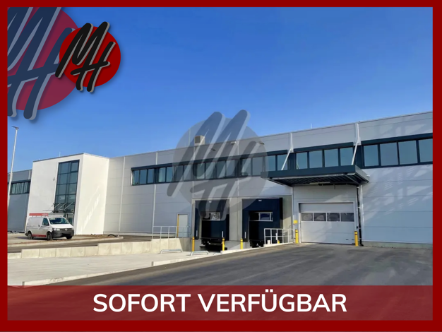 Halle/Industriefläche zur Miete 3.000 m² Lagerfläche teilbar ab 1.200 m² Raunheim 65479