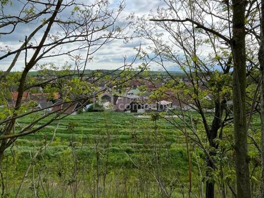 Einfamilienhaus zum Kauf 120.000 € 119 m² 237 m² Grundstück Bernhardsthal 2276