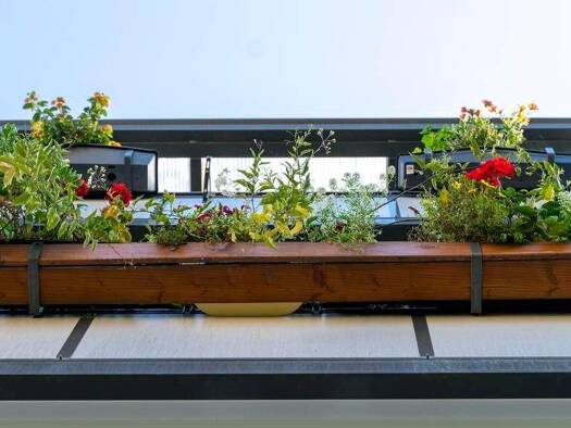 Studio zur Miete 359 € 1 Zimmer 38,3 m² EG Scheffelstraße 46c Connewitz Leipzig 04277