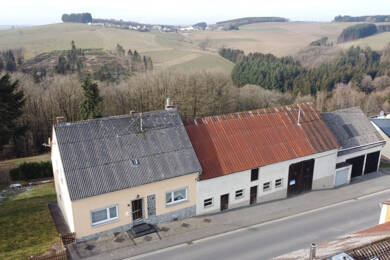 Einfamilienhaus zum Kauf 199.000 € 5 Zimmer 100 m² 3.824 m² Grundstück Philippsweiler Philippsweiler 54649
