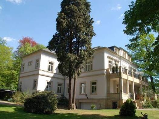 Wohnung zur Miete 799 € 2 Zimmer 75 m² Dachgeschoss frei ab sofort Dresden 01326