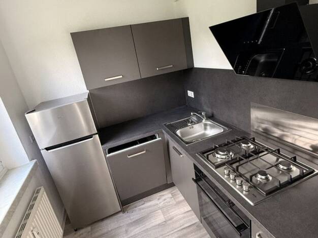 Wohnung zur Miete 314 € 2 Zimmer 46,1 m² EG Carl-von-Ossietzky-Straße 215 Gablenz Chemnitz 09127