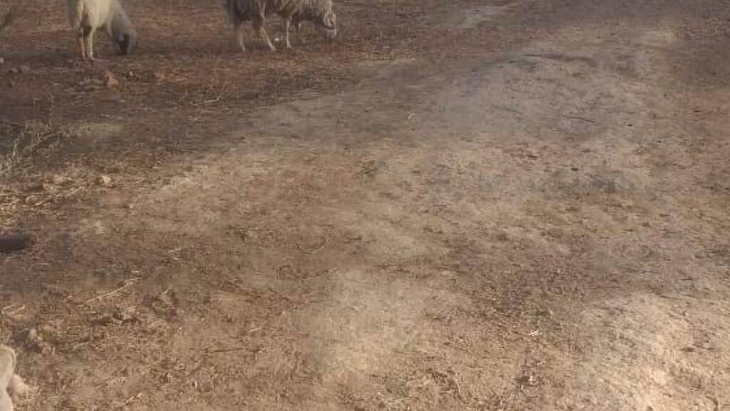 Einfamilienhaus zum Kauf 136.000 € 2 Zimmer 40 m² 34.000 m² Grundstück Khemisset 15020