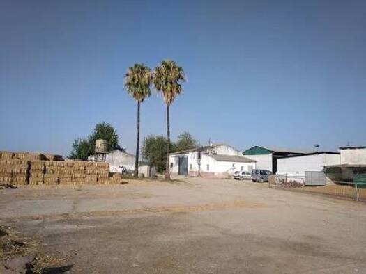Wohn- und Gewerbegrundstück zum Kauf 134.000 € A-8006 S/N Alcalá del Río 41200