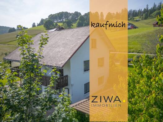 Haus zum Kauf 299.000 € 9 Zimmer 190 m² 1.242 m² Grundstück Todtnauberg 79674