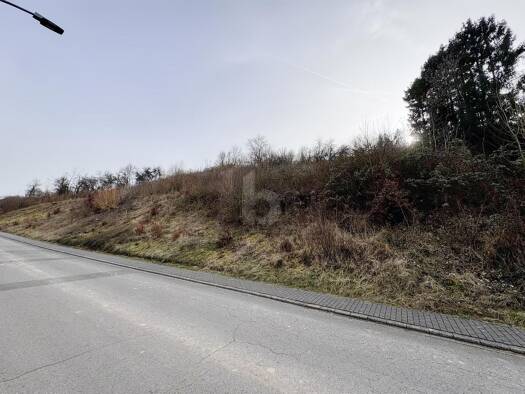 Grundstück zum Kauf 173.000 € 1.945 m² Grundstück Welschbillig 54298