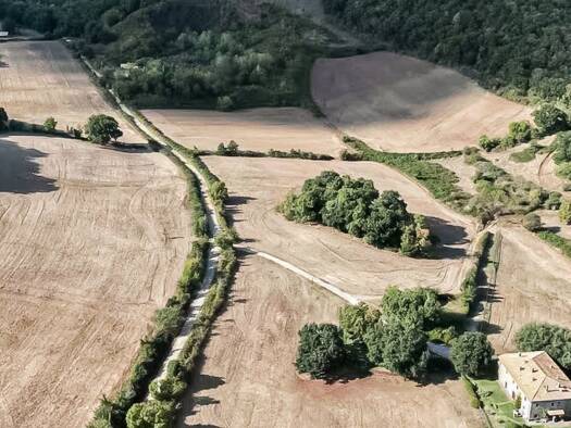 Haus zum Kauf 3.800.000 € 1.370 m² Montalto di Castro 01014