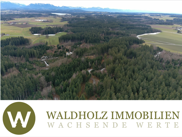 Forstwirtschaft zum Kauf als Kapitalanlage geeignet 120.000 € 1 Zimmer 19,8 m² Grundstück Pittenhart 83132