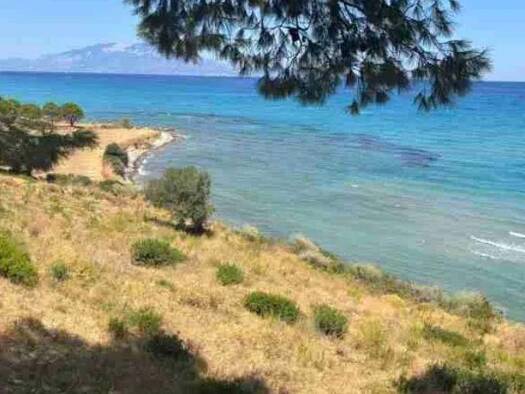 Grundstück zum Kauf 1.050.000 € 8.000 m² Grundstück ????????? 29090