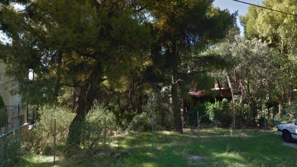 Land-/Forstwirtschaft zum Kauf 300.000 € 1.012 m² Grundstück Athen