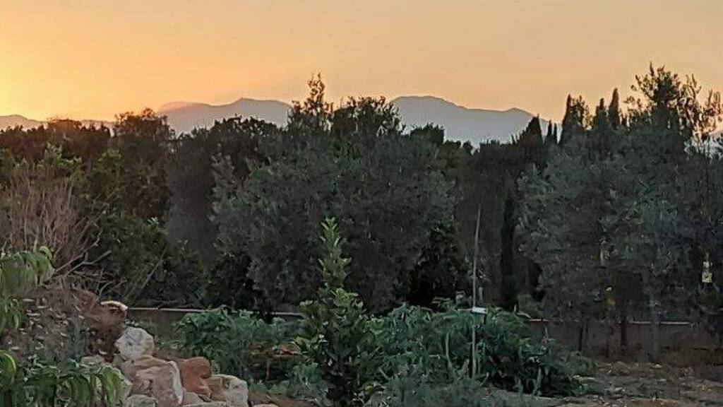 Grundstück zum Kauf 550.000 € 16.600 m² Grundstück Manacor 07500